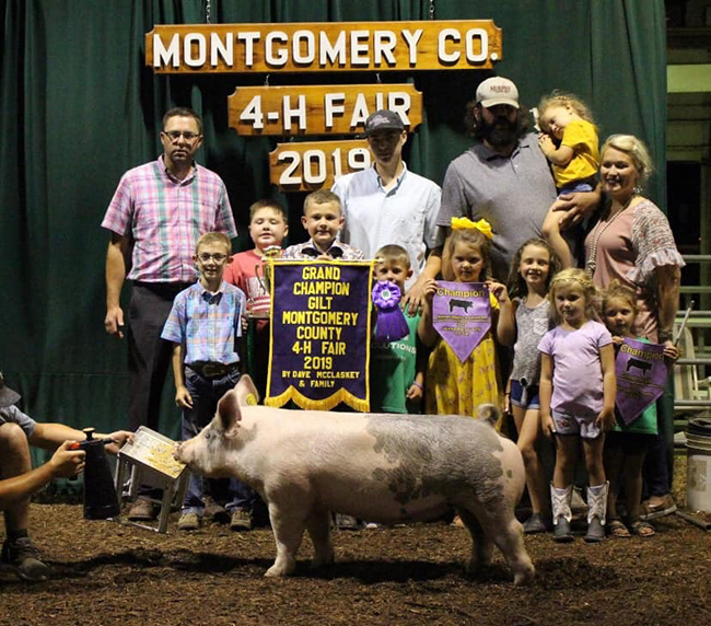 CHAMPION GILT – 2019 Montgomery County Fair