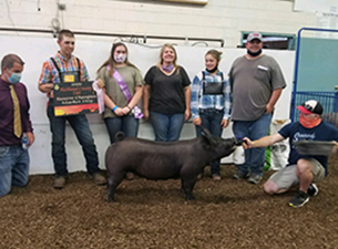 RESERVE CHAMPION – 2020 Richland County, OH