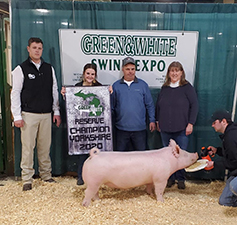 RESERVE YORKSHIRE – 2020 Green & White Swine Expo