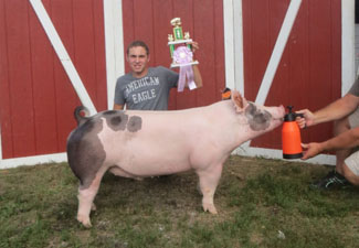 RESERVE MIDDLE WEIGHT DIV BARROW – 2014 Fulton County Fair, OH