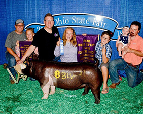 GRAND CHAMPION OVERALL – 2018 Ohio State Fair Youth Gilt Show
