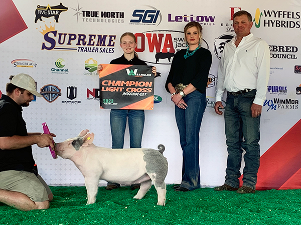 CHAMPION LT CROSS, 3RD OVERALL BREEDING GILT RING 1, 4TH OVERALL RING 2 – 2023 Wrangler Cash Out & Buckle Battle, IA