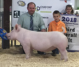 $10,000 TOP SELLING YORKSHIRE GILT – 2018 NSR WPX