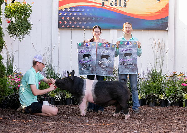 3RD OVERALL AND CHAMPION COUNTY BORN –  2023 Ottawa County Fair, OH