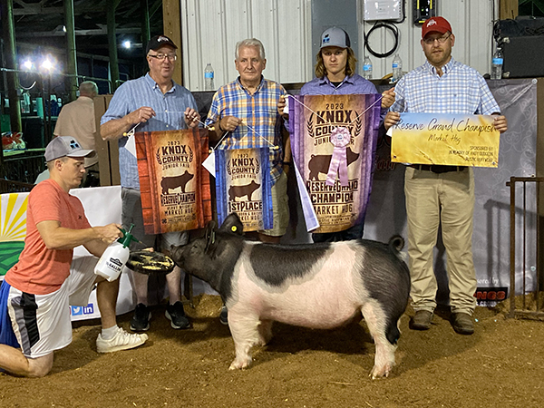 RESERVE GRAND CHAMPION OVERALL –  2023 Knox County, OH
