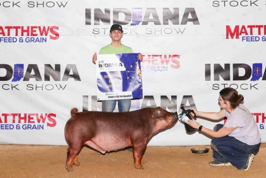 3RD OVERALL DUROC BARROW – 2023 Indiana Stock Show